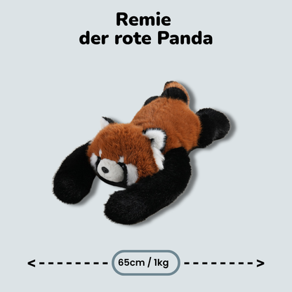Nomio Duo Set